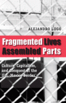 Fragmented Lives